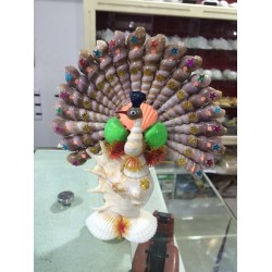 Decoration shell Items